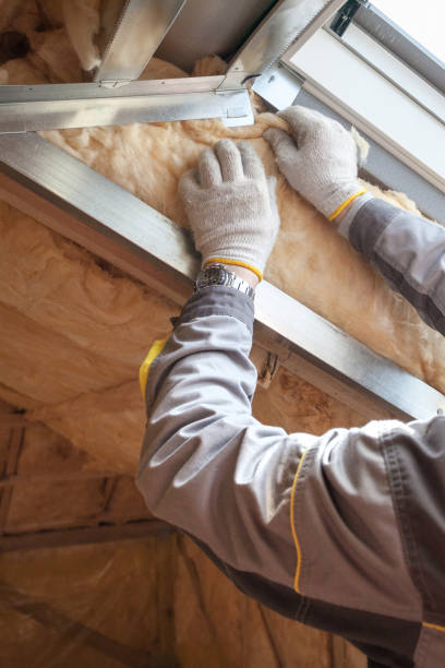 Best Eco-Friendly Insulation in Arcadia, LA