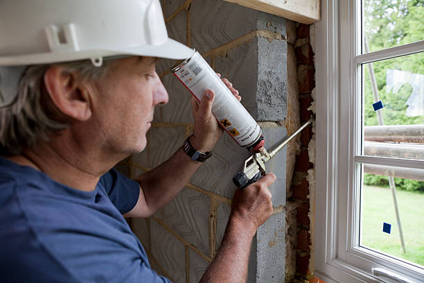Best Residential Insulation in Arcadia, LA