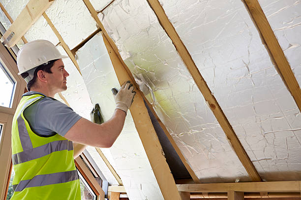 Professional Insulation Contractor in Arcadia, LA